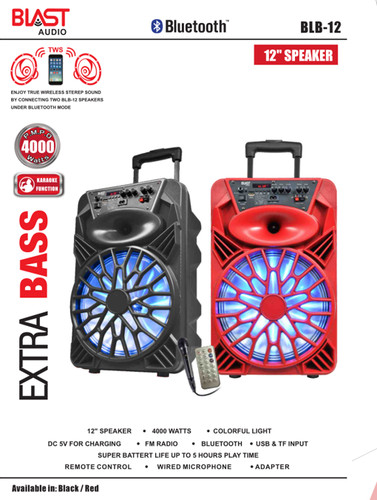 Portable 4000 watts - portable, peak